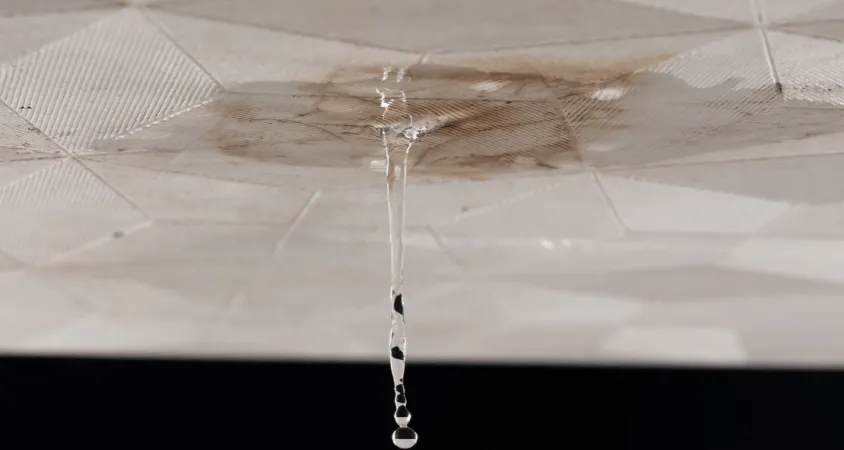 urgence fuite sur un plafond